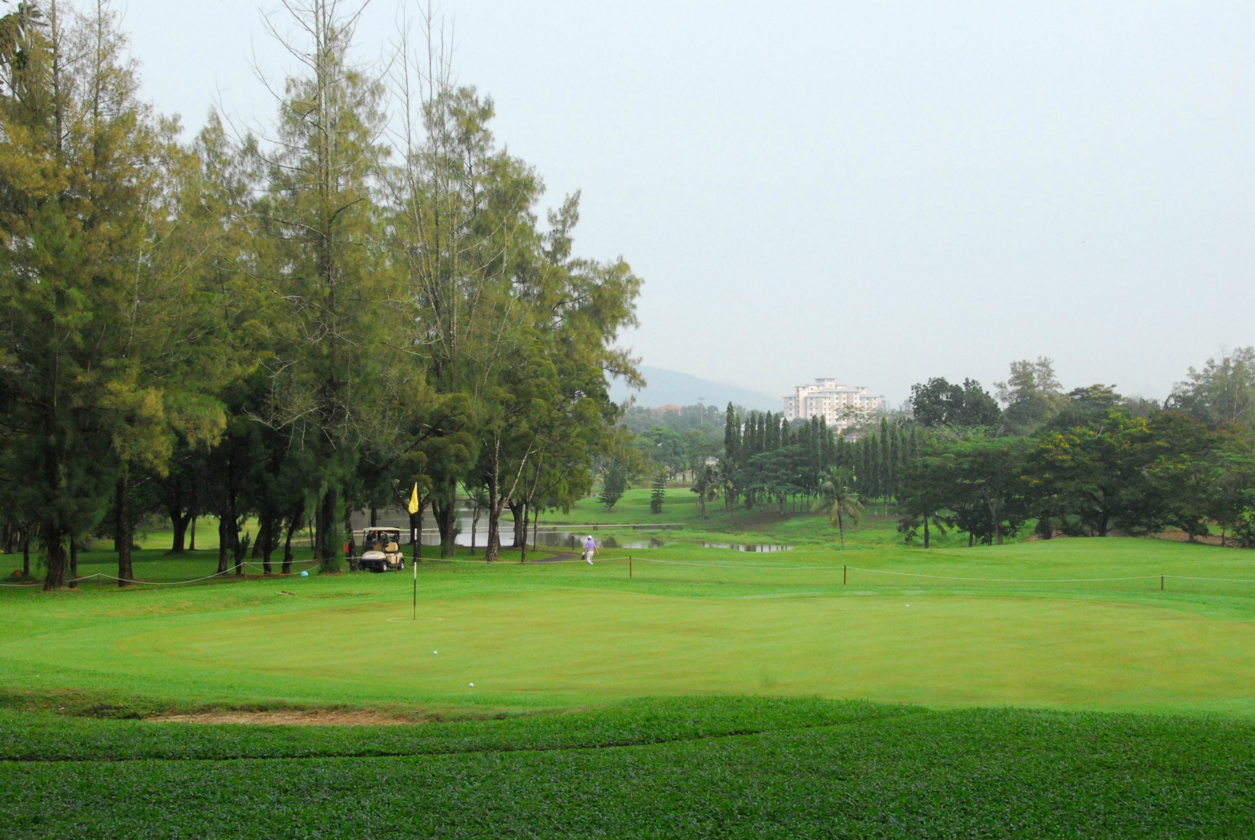 PRO15 157 GOLF DSC 0239.JPG